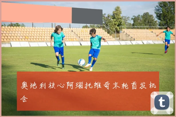 奥地利核心阿瑙托维奇末轮首发机会