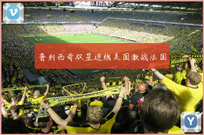 普利西奇双星连线美国激战法国