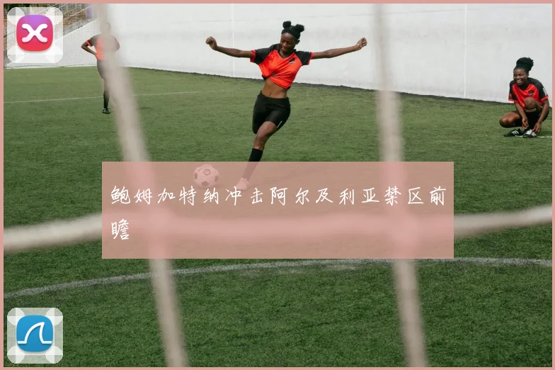 鲍姆加特纳冲击阿尔及利亚禁区前瞻