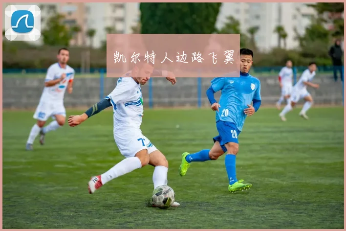 凯尔特人边路飞翼