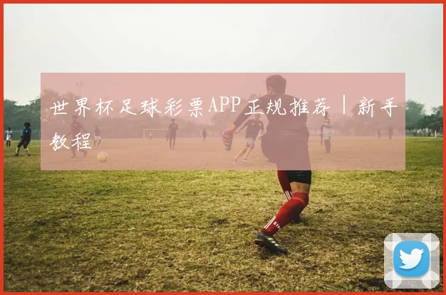 世界杯足球彩票APP正规推荐｜新手教程