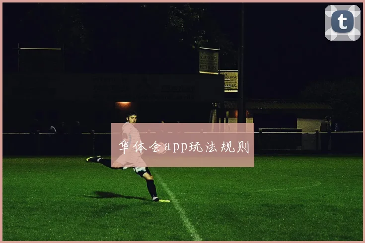 华体会app玩法规则